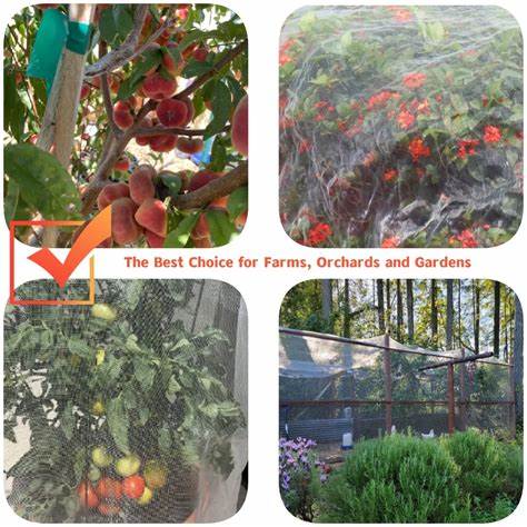 anti insect net company news